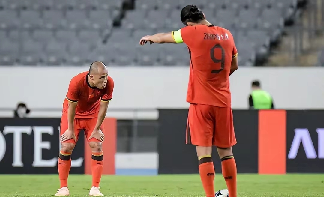 中国乒乓球队强势波兰乒乓球队，水谷隼统治全场的简单介绍